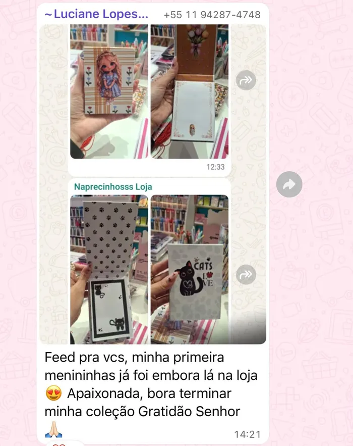 Mensagem de WhatsApp com fotos de bloquinhos das coleções bonequinhas e gatinhos feitos por uma aluna